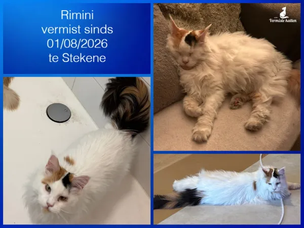 Rimini