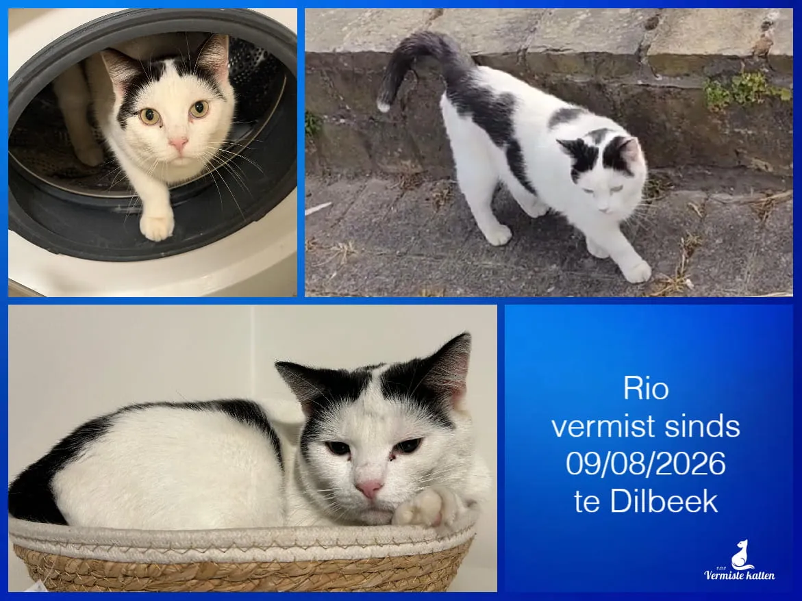 RIO