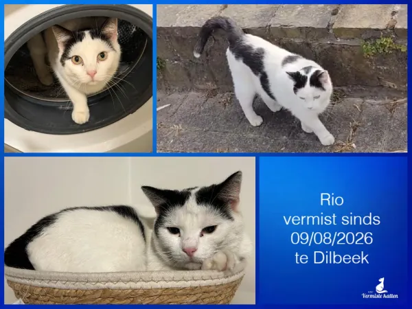 RIO
