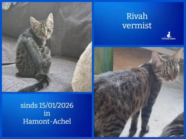 Rivah
