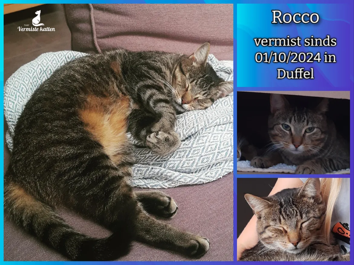 Rocco