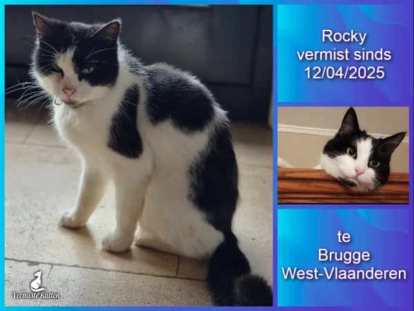 Rocky