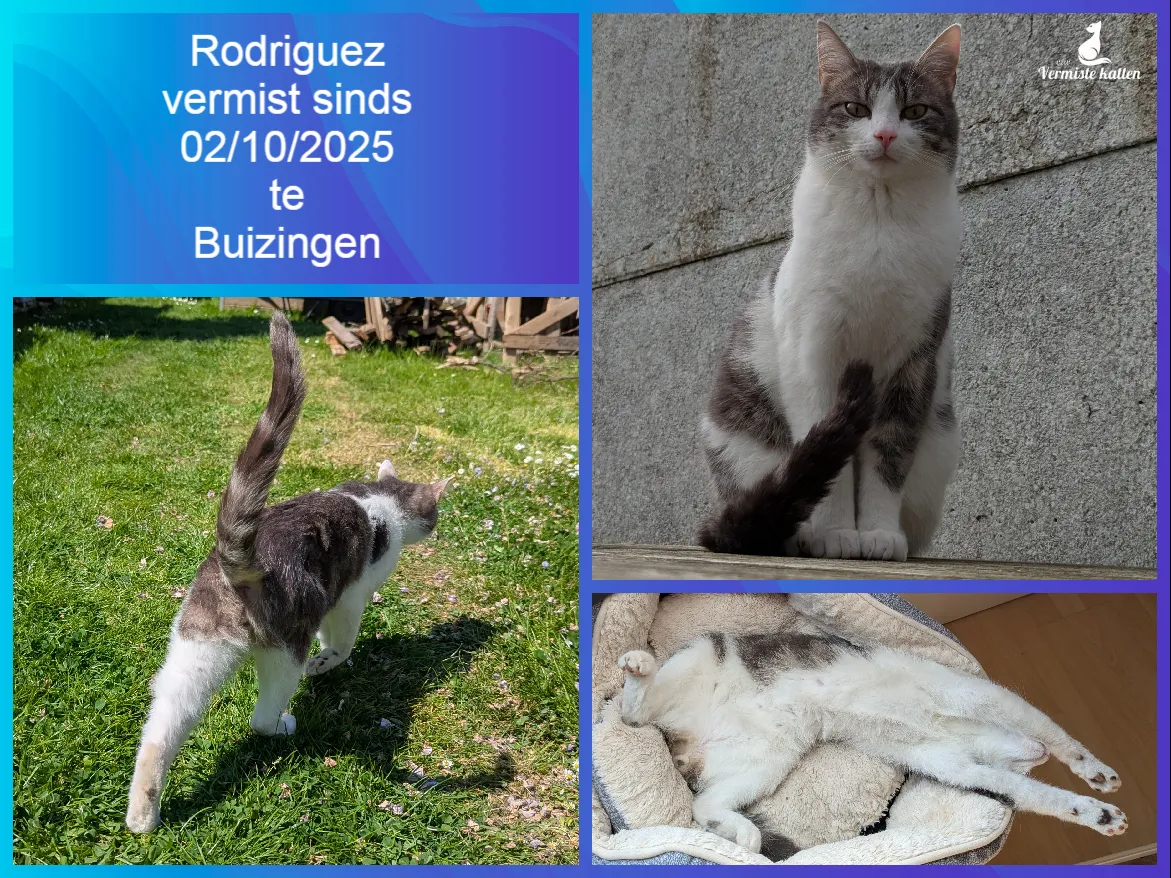 Rodriguez