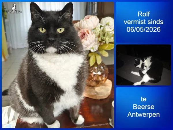 Rolf