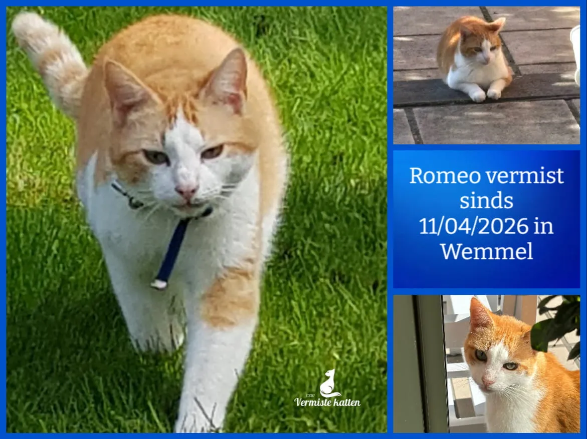 Romeo