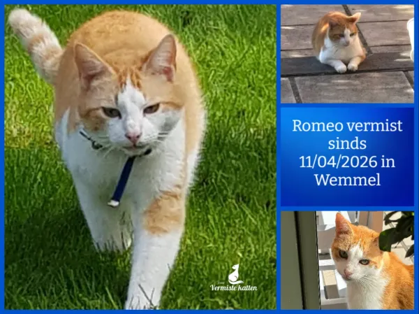 Romeo