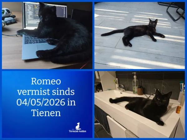 Romeo
