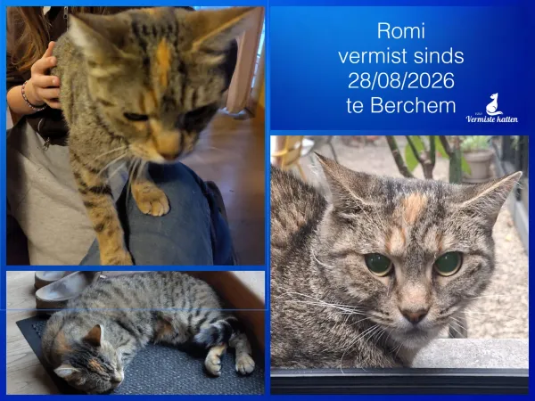 Romi
