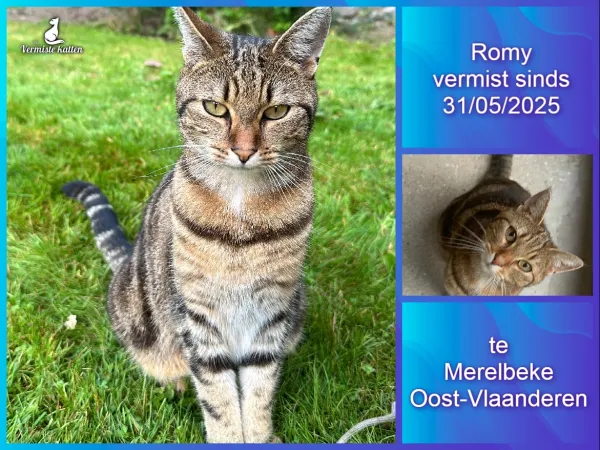 Romy