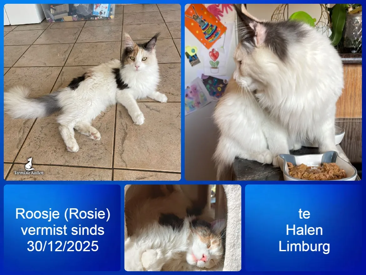 Roosje/Rosie