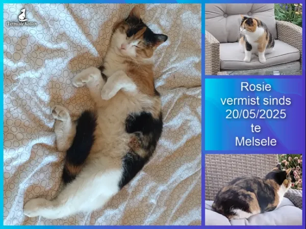 Rosie