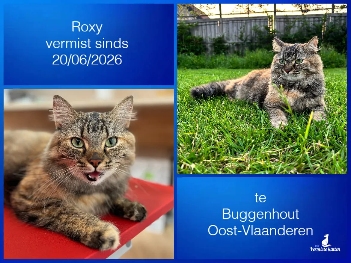 Roxy