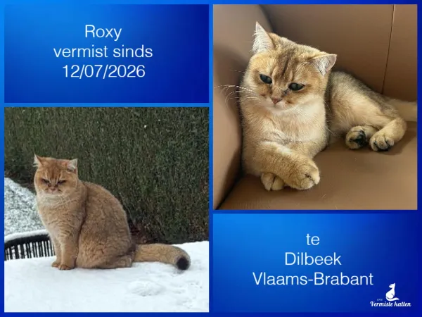 ROXY