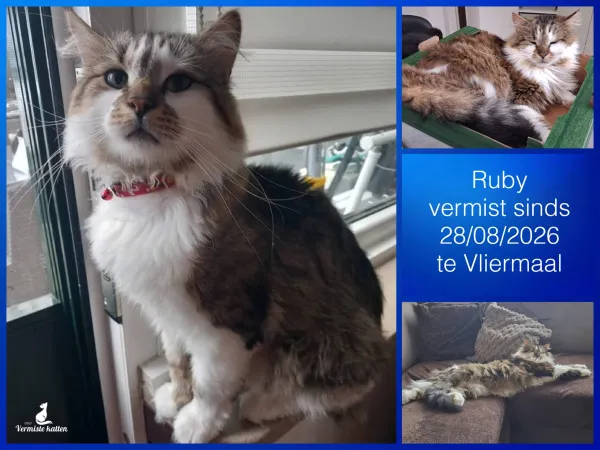 Ruby