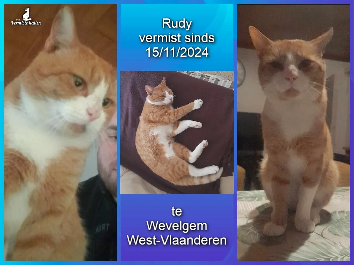 RUDY