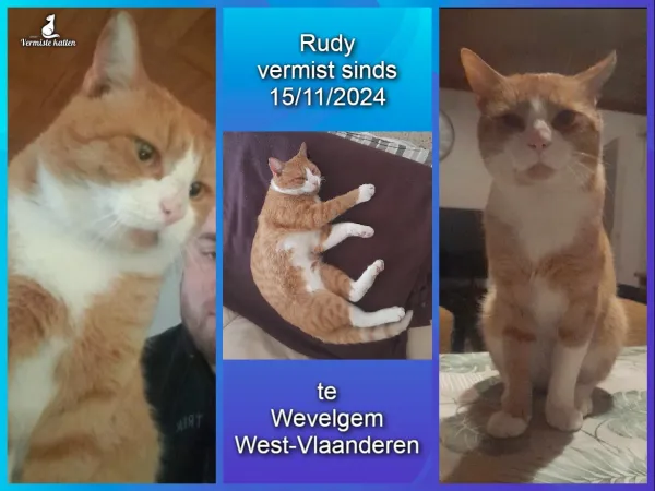 RUDY