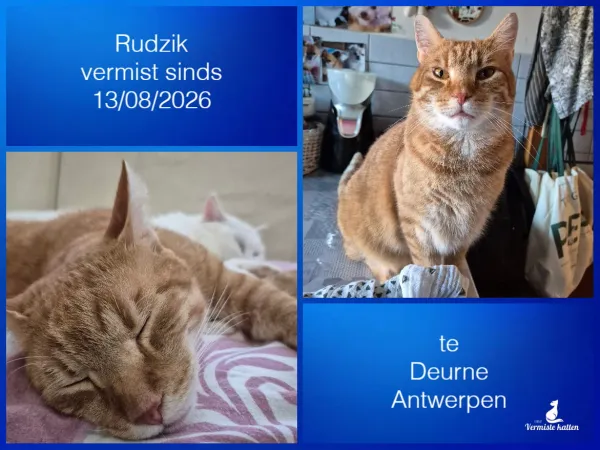 Rudzik
