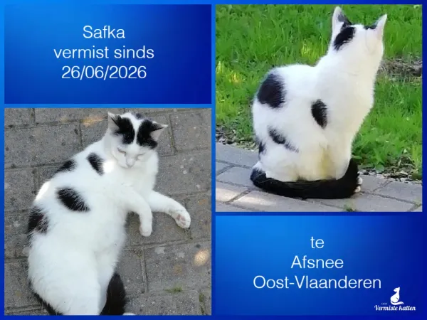 Safka