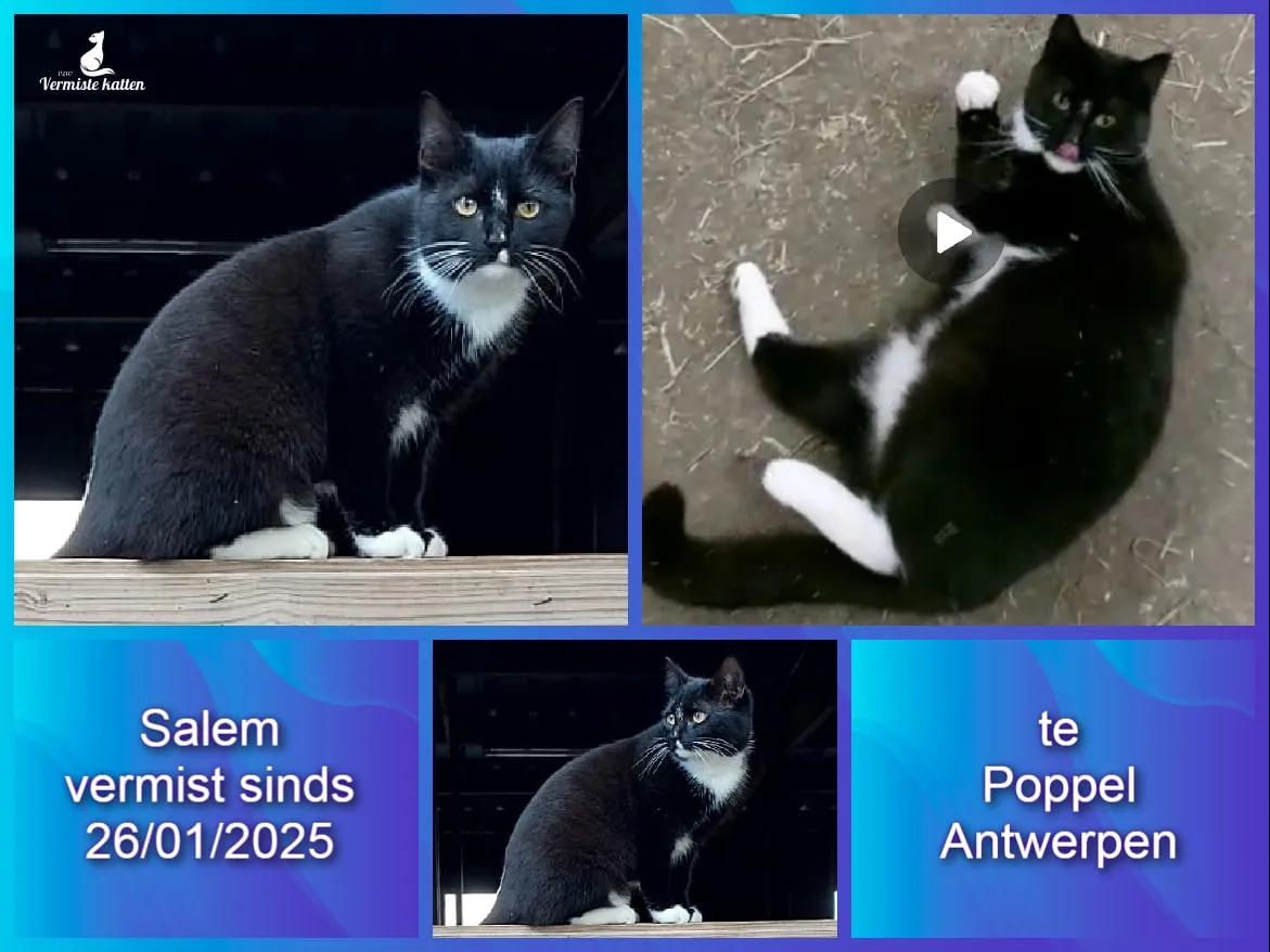 Salem