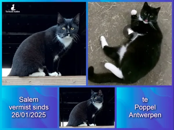 Salem
