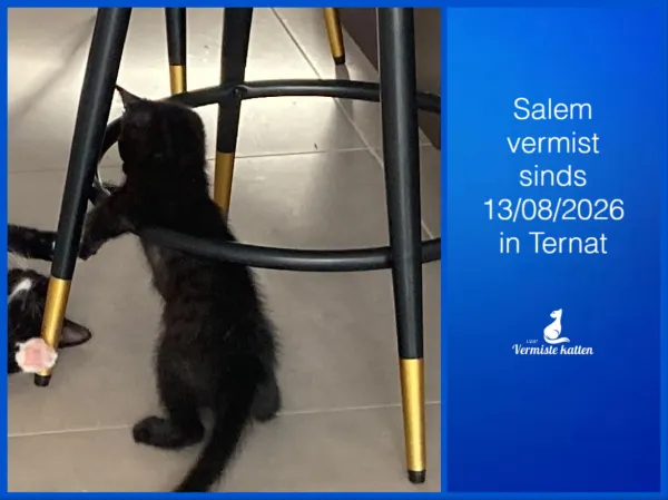 Salem