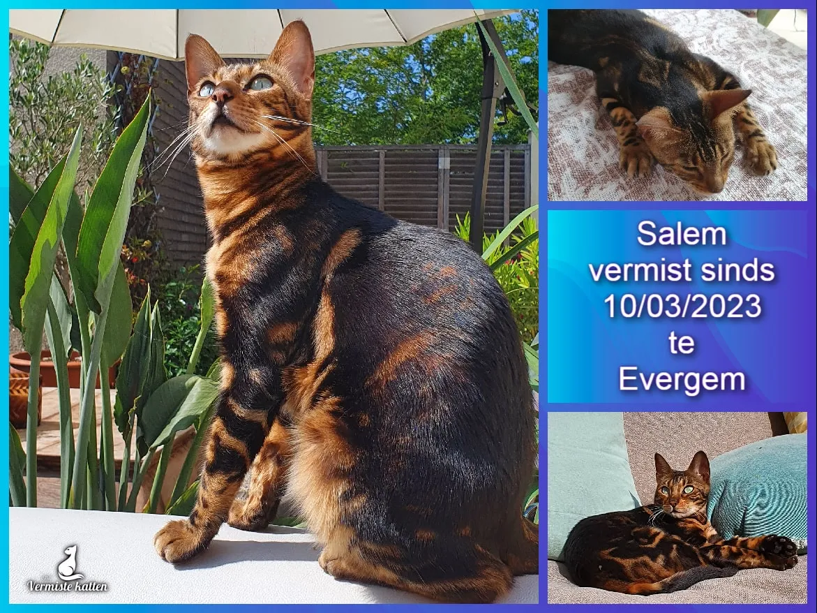 Salem