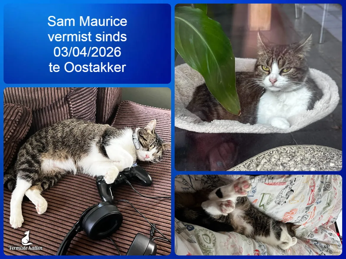 Sam Maurice