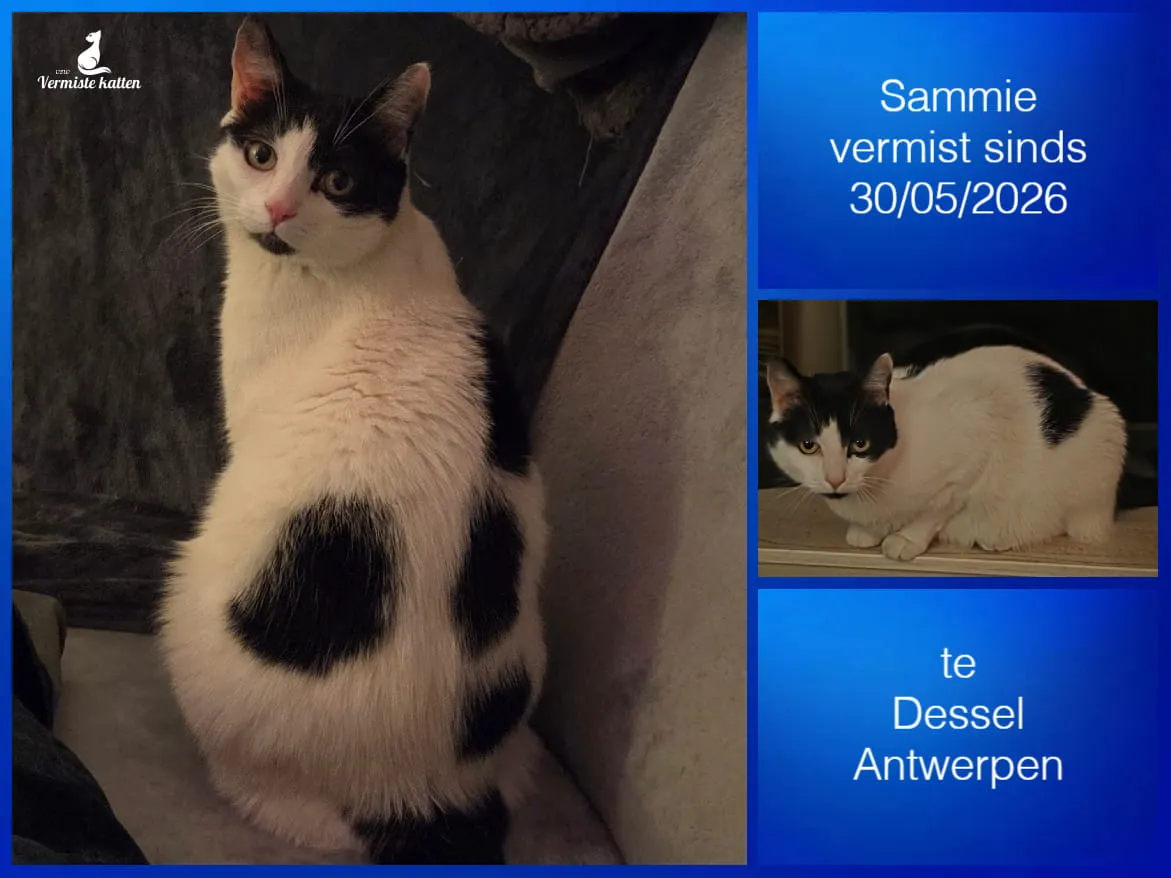 Sammie