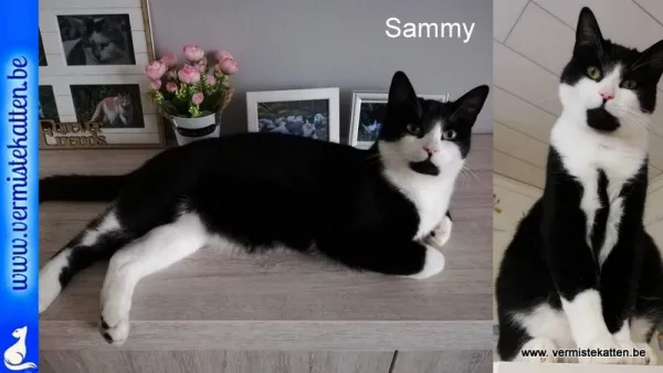 Sammy