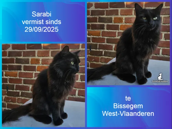 Sarabi