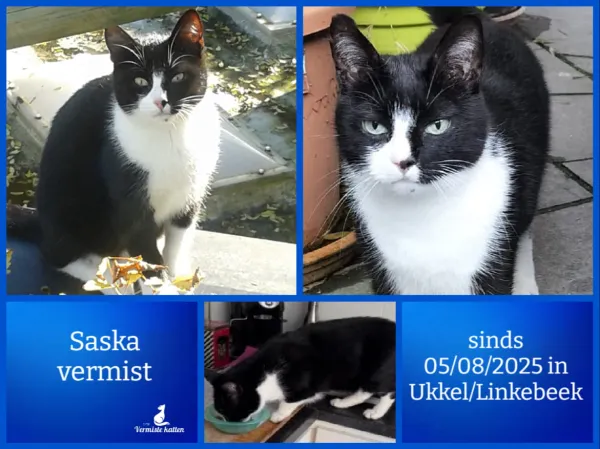 Saska