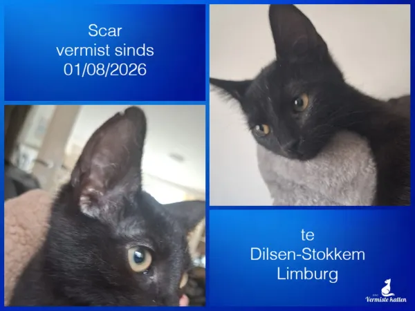 Scar