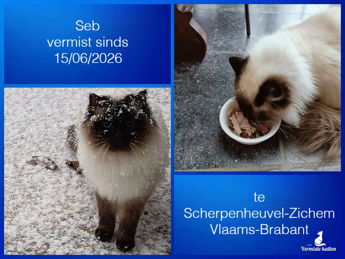 Seb