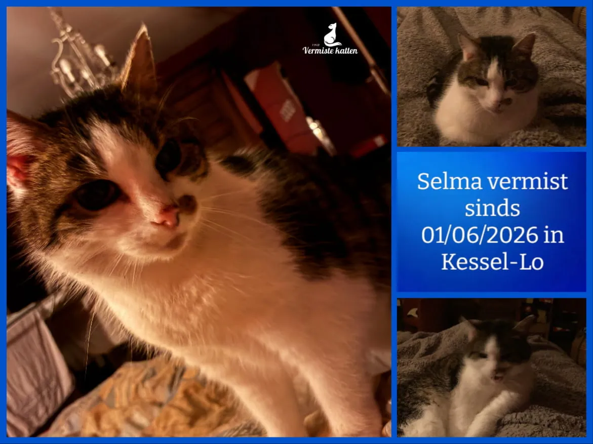 Selma
