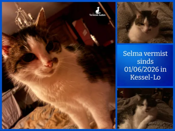 Selma