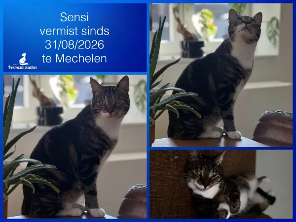 Sensi