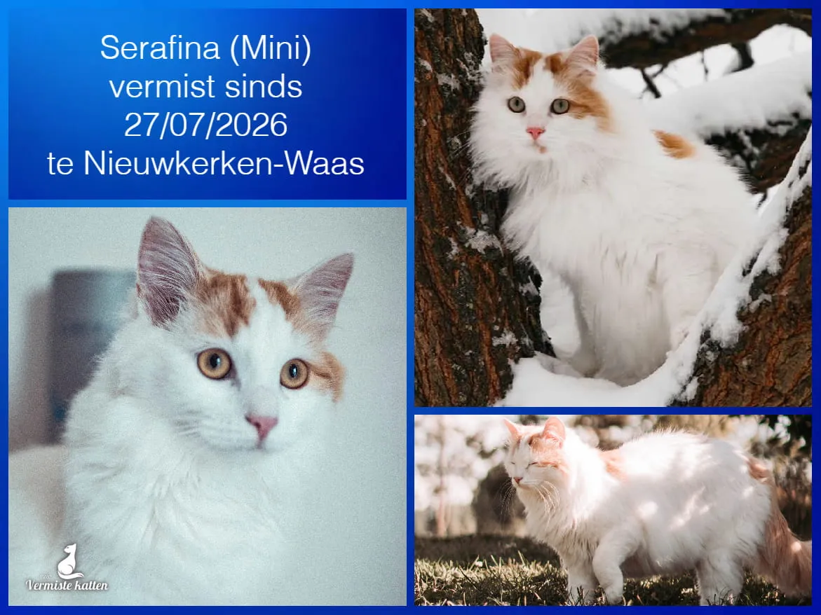 Serafina/roepnaam Mini