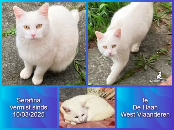 Serafina