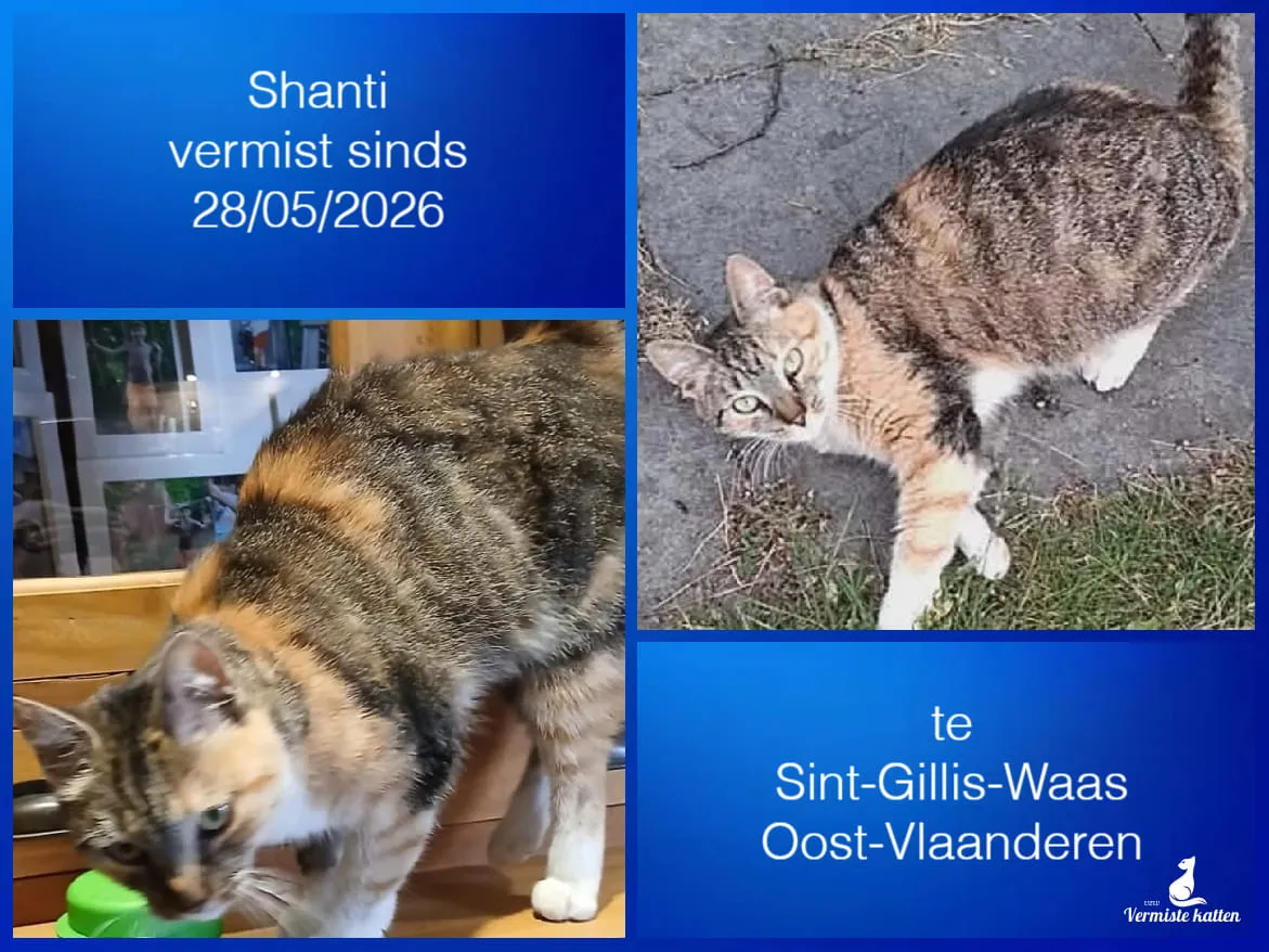 Shanti