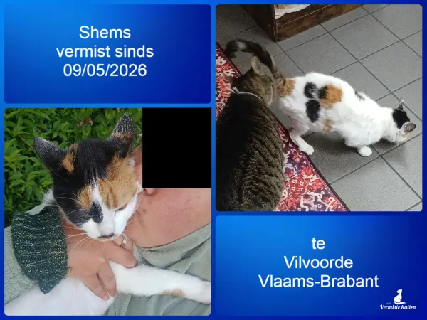 SHEMS