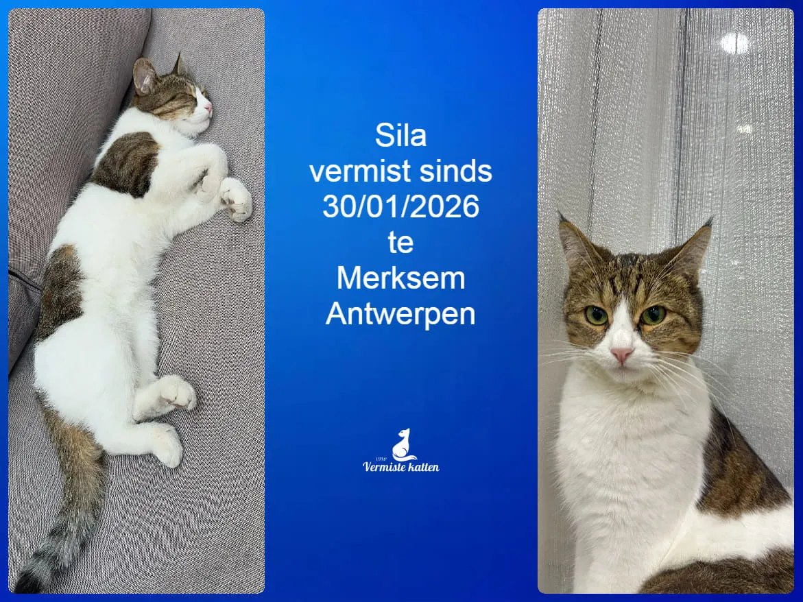 Sila