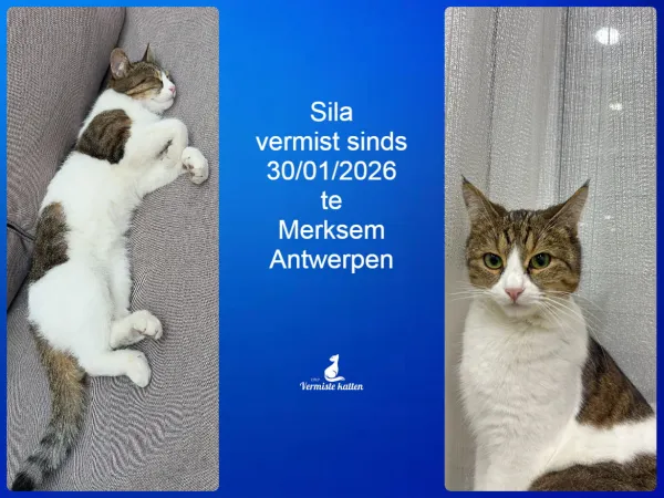 Sila