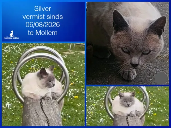 Silver