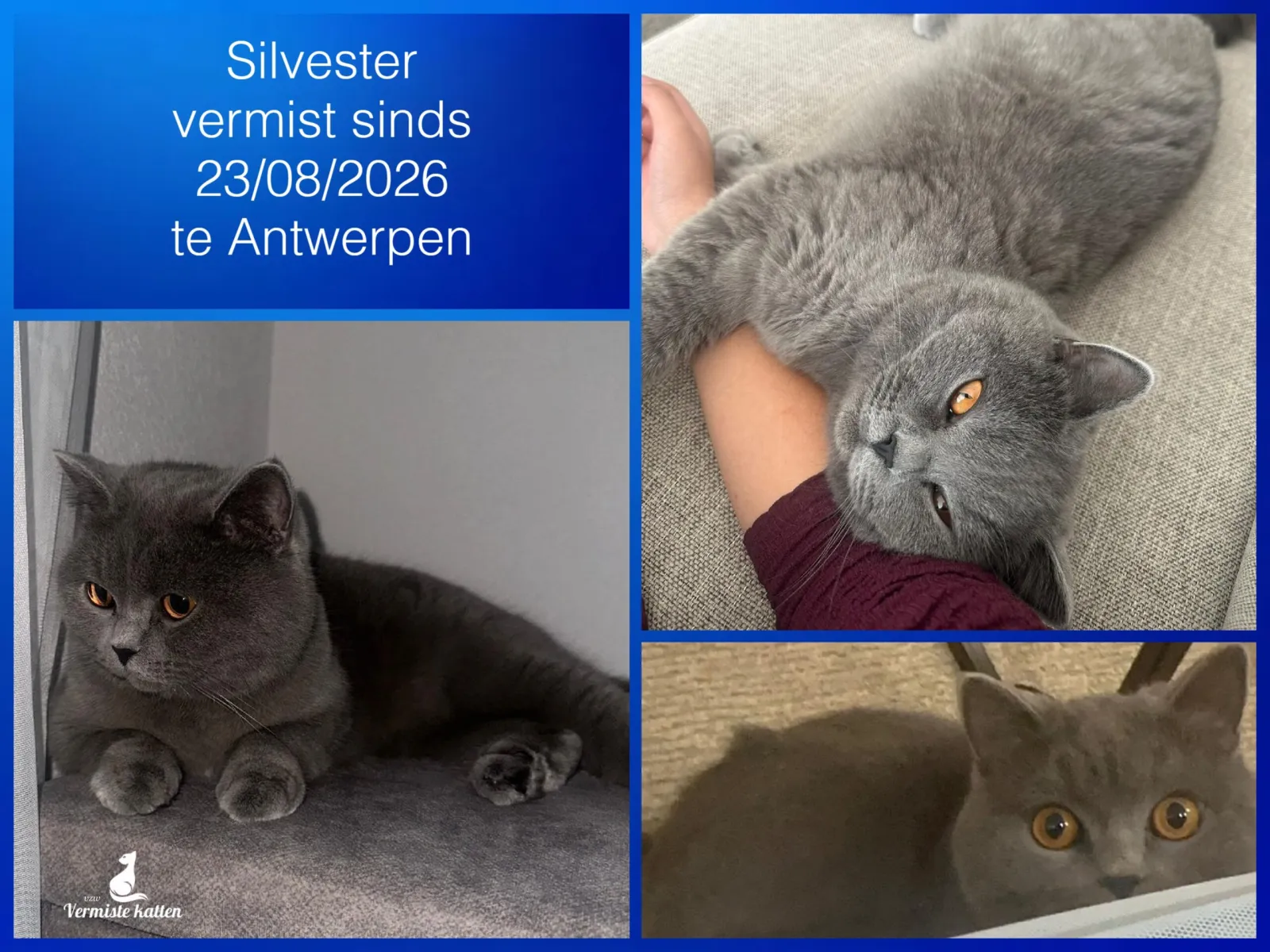 Silvester