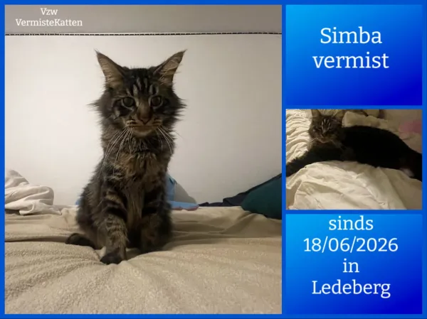 Simba