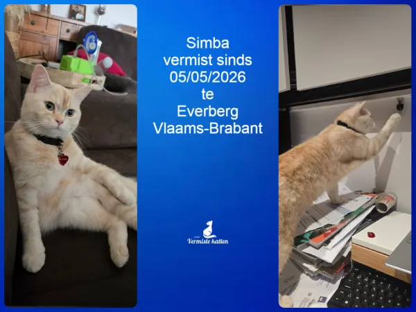 Simba