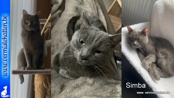 Simba
