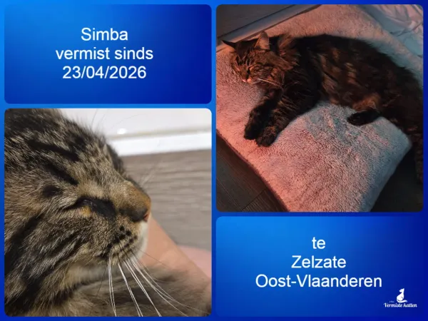 Simba