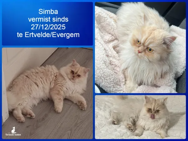 Simba