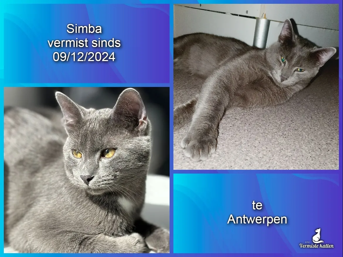 Simba
